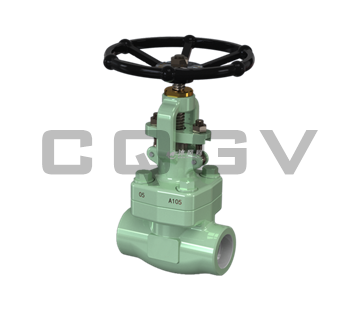 Forged steel gate valve